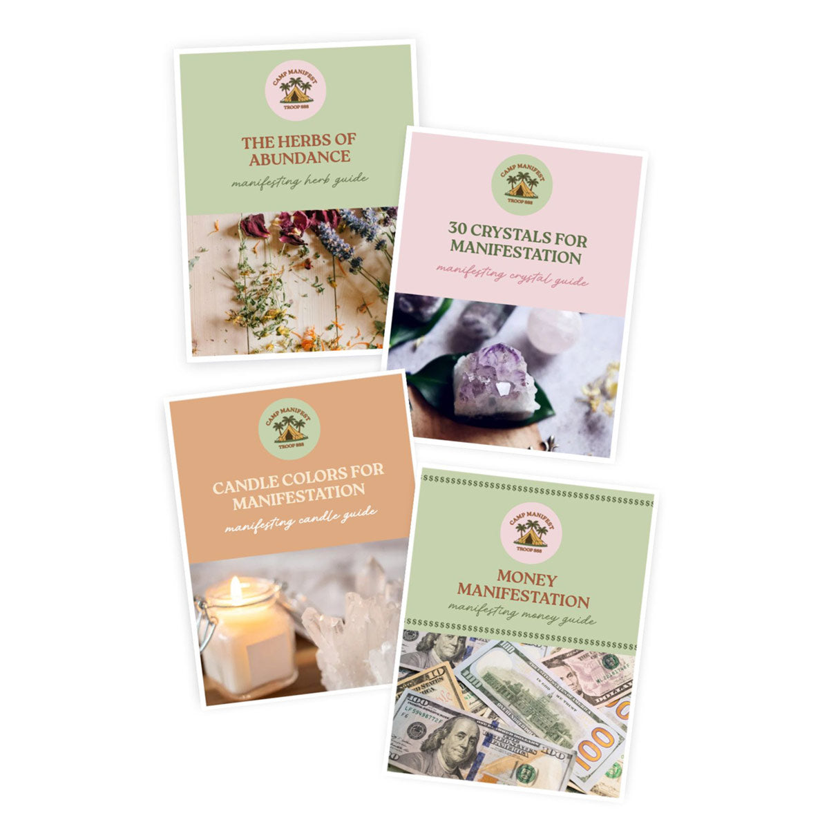 Money Manifesting Kit 